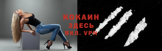 дмт Арсеньев