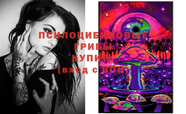 дмт Арсеньев