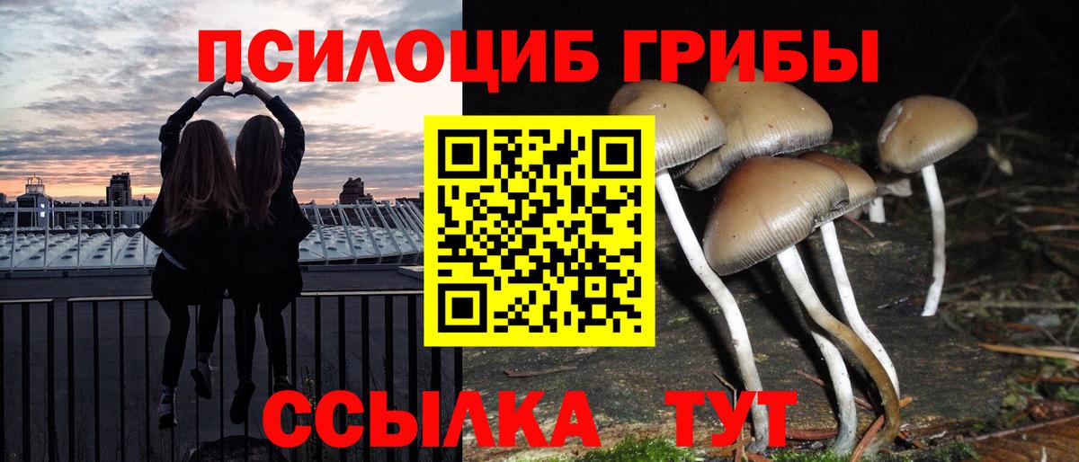 Галлюциногенные грибы мицелий Керчь