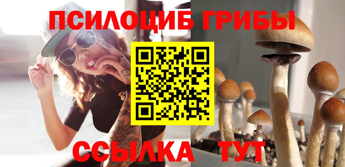 МЕФ Керчь